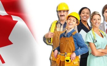 10 Skills That Can Easily Secure Immigrants Jobs in Canada