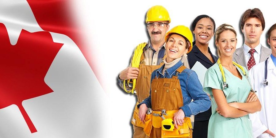 10 Skills That Can Easily Secure Immigrants Jobs in Canada