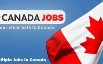 How Immigrants Can Apply for a Canada Job Visa - Step By Step